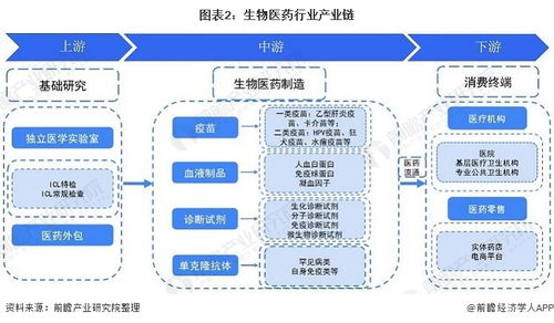 預(yù)見(jiàn)2021 中國(guó)生物醫(yī)藥行業(yè)全景圖譜、市場(chǎng)現(xiàn)狀、競(jìng)爭(zhēng)格局與發(fā)展趨勢(shì)，及人工智能應(yīng)用軟件開(kāi)發(fā)機(jī)遇